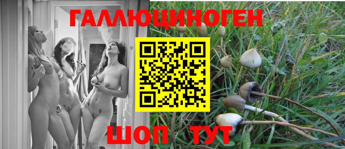 Галлюциногенные грибы GOLDEN TEACHER  Галлюциногенные грибы Cubensis  Волжск  Вход с VPN 